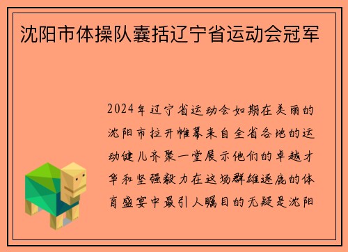 沈阳市体操队囊括辽宁省运动会冠军