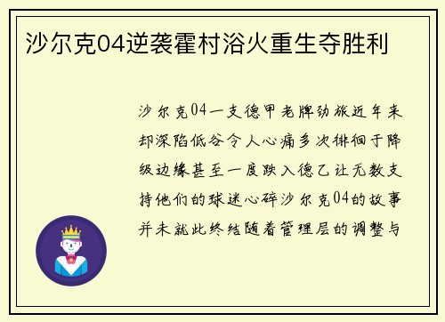 沙尔克04逆袭霍村浴火重生夺胜利